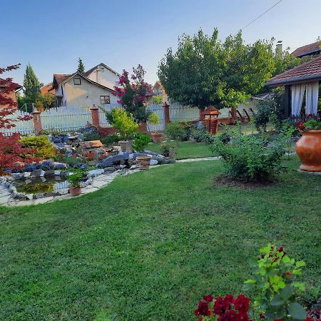 Guest House Rose Smederevska Palanka Esterno foto